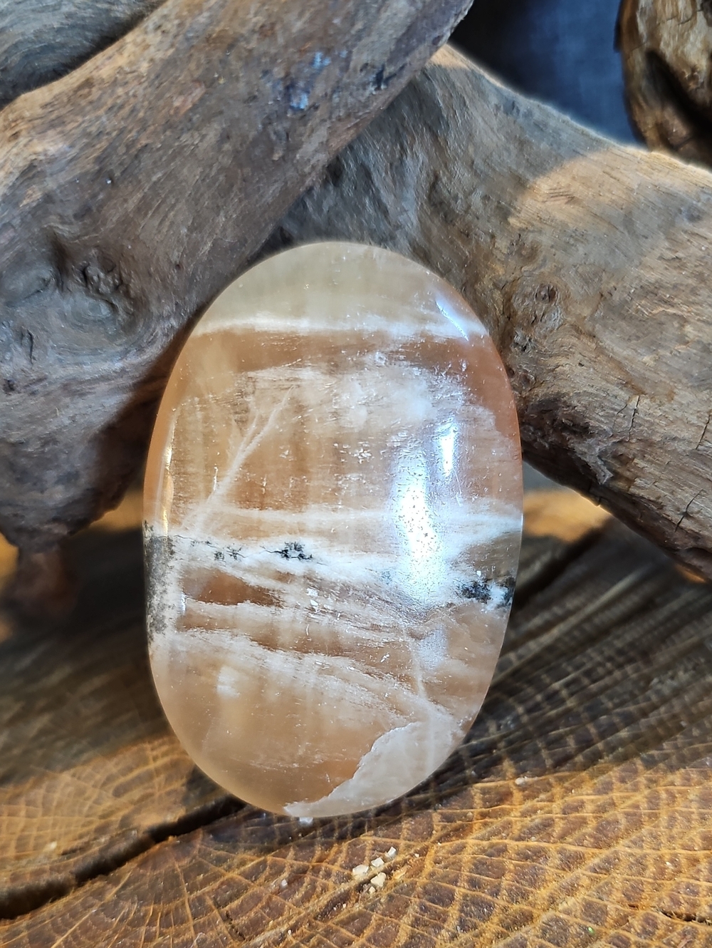 Bundle Me!: Polished Honey Agate Palm Stone